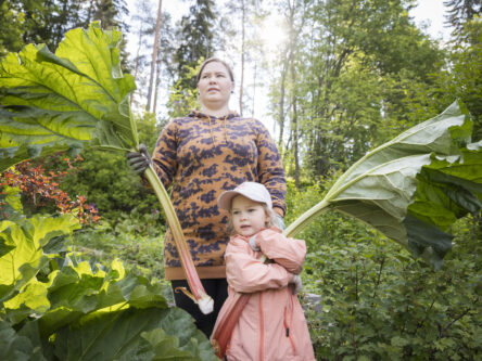 Nainen ja hänen lapsensa pitävät paksuja raparpereja kädessään, taustalla näkyy vihreää puutarhaa.