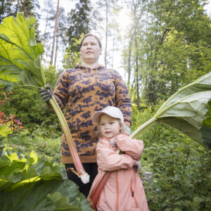 Nainen ja tyttö pitävät käsissään ranteen paksuisia raparpereja.