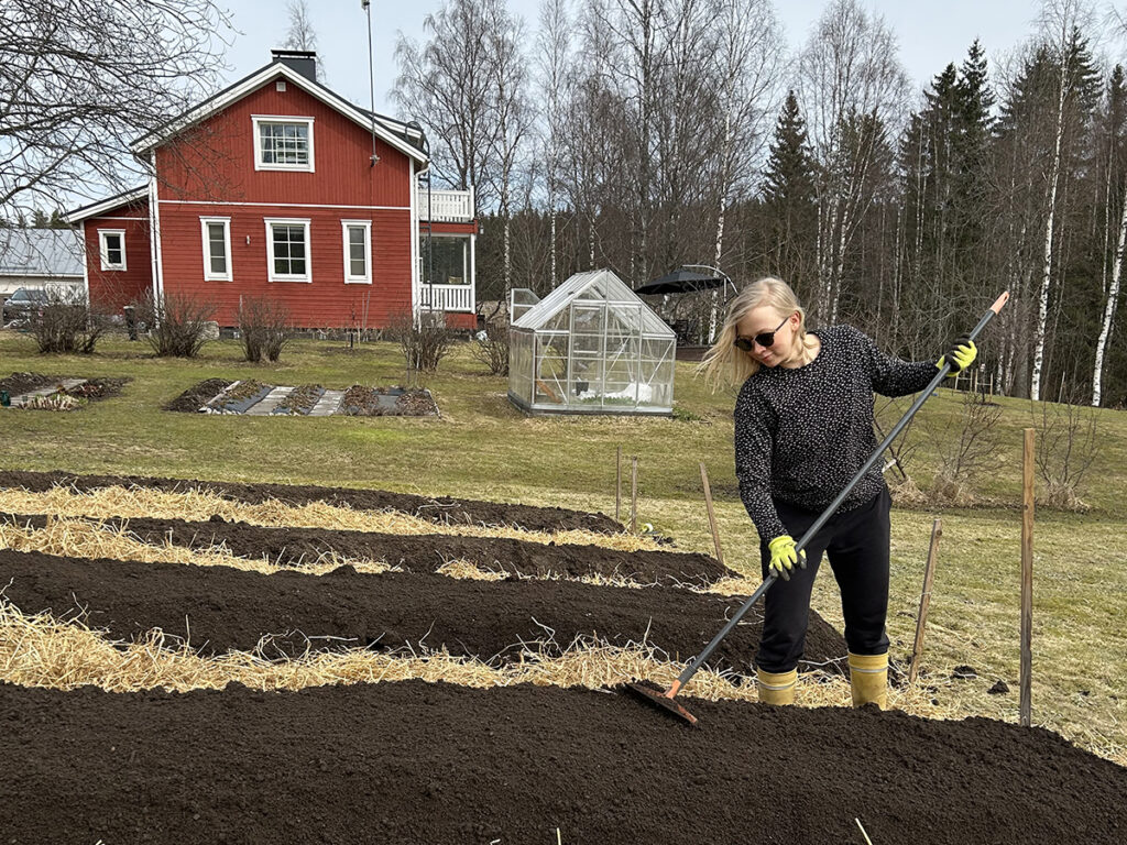 Nainen haraa multaa aurinkolasit päässään. On vielä kevät. Taustalla näkyy punainen omakotitalo.