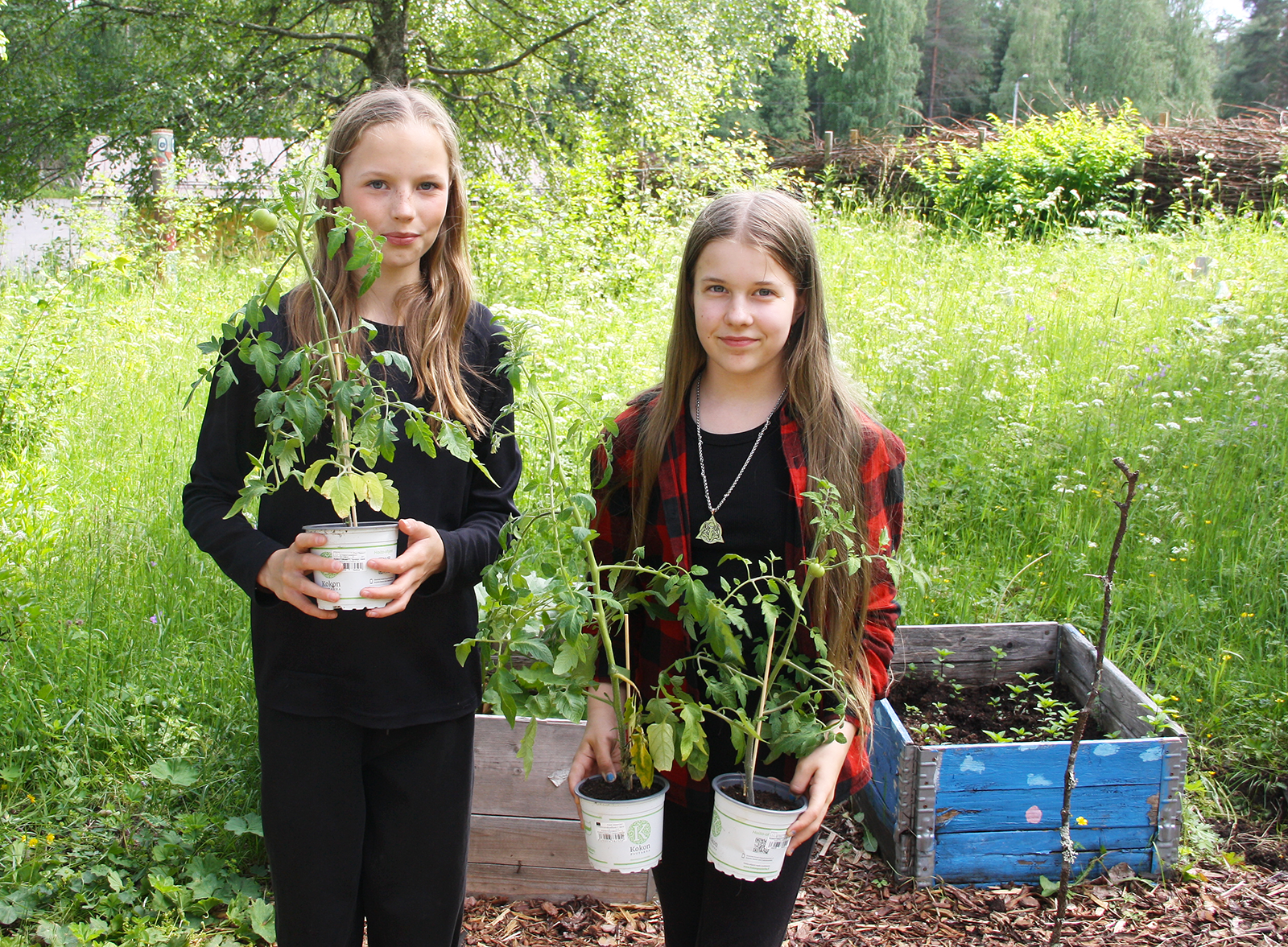 Kaksi nuorta tyttöä pitää käsissään ruukkuja, joissa kasvaa jotain kasveja. Takana näkyy puun värinen sekä sininen istutuslaatikko.