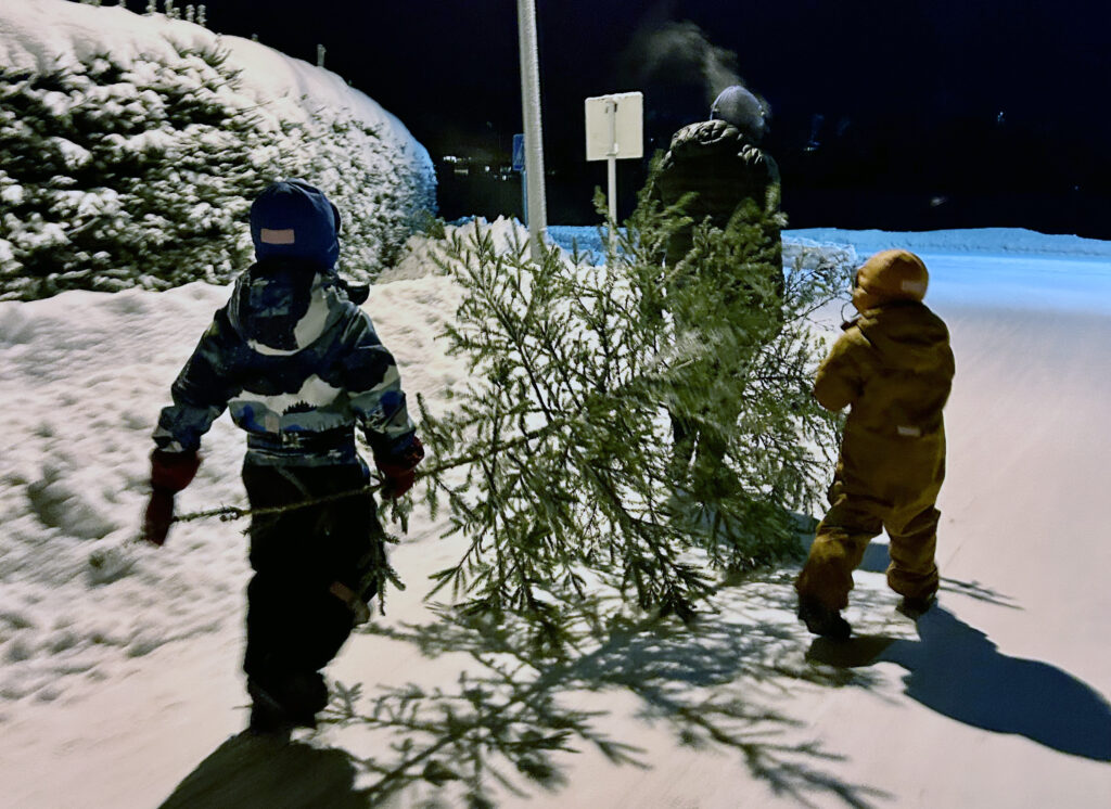 Kaksi lasta ja yksi mies kantavat kolmestaan joulukuusta. Kuva on otettu takaapäin, eikä heidän kasvojaan näy. Ulkona vaikuttaisi olevan paljon pakkasta.